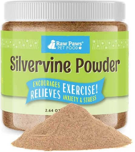 Raw Paws Silvervine - Polvo de 2.65 oz, 2 veces más atractivo que la hierba gatera para gatos, 100% polvo de fruta de agalla, juguete Matatabi